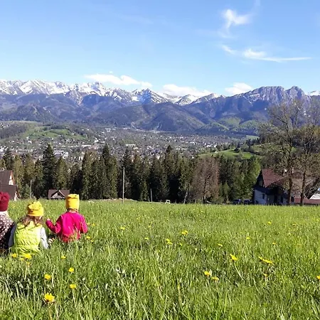 Domek alpejski Widokowe Kowalski