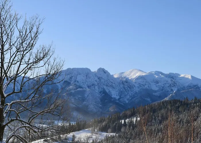 Widokowe Kowalski - Smith's Wooden Challets *